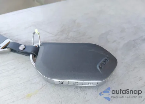 2024 Kia Telluride Ex from USA, damaged, VIN 5XYP3DGC3RG452349